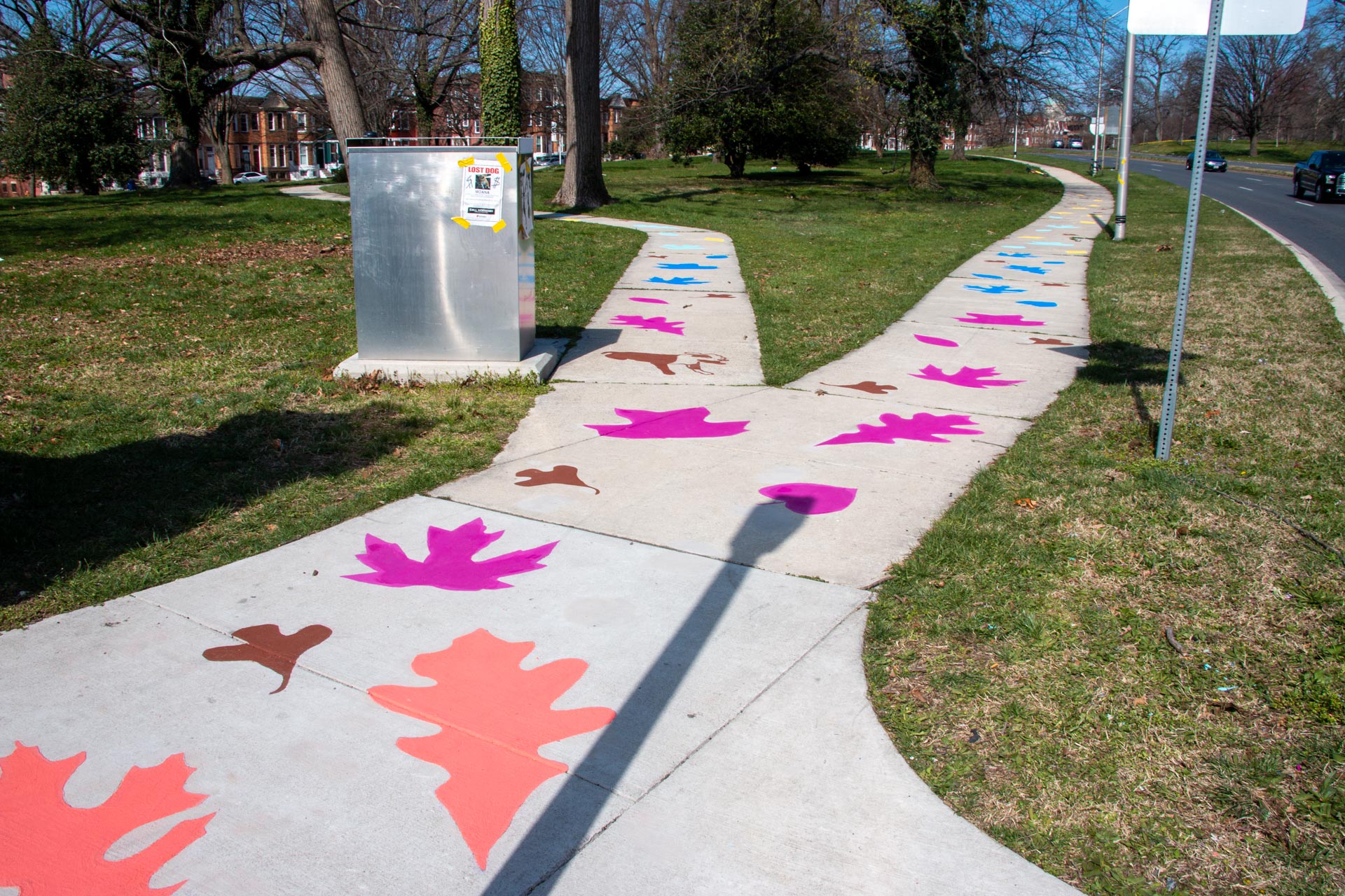 Druid Hill Canopy Crosswalk sidewalk perspective with painted leaves